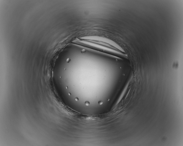 X0000111040566200907091612