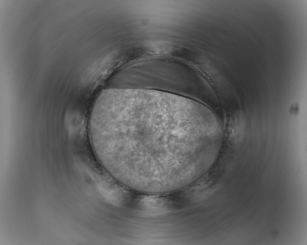 X0000111040568200907091612