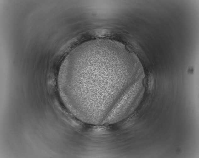 X0000111040569200907091612