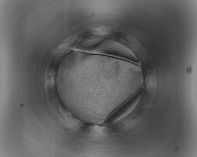 X0000111040570200907091612