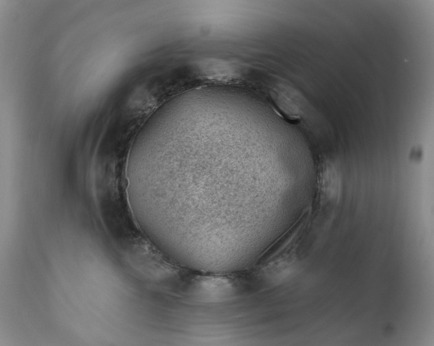 X0000111040572200907091612