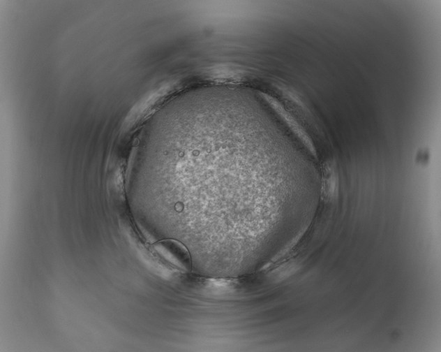 X0000111040573200907091612