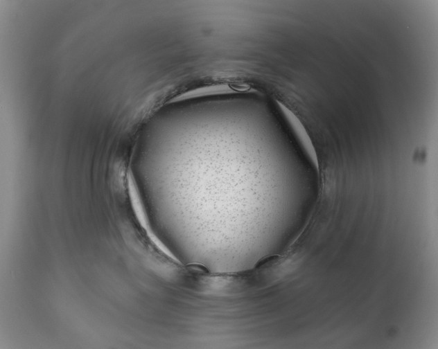 X0000111040575200907091612