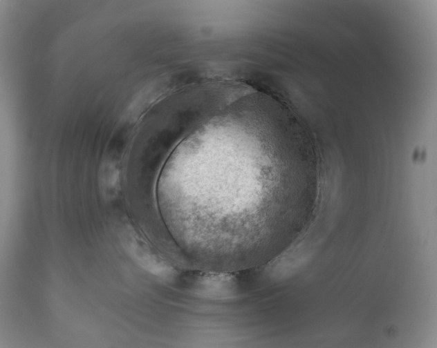 X0000111040576200907091612