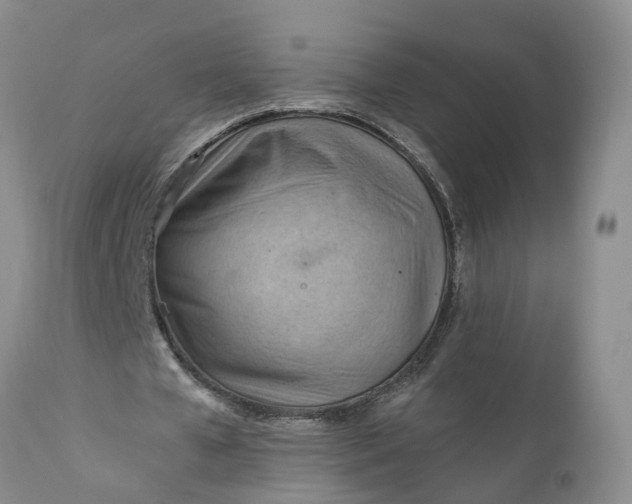 X0000111040577200907091612