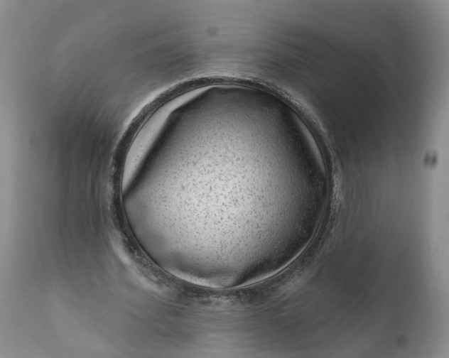 X0000111040580200907091612