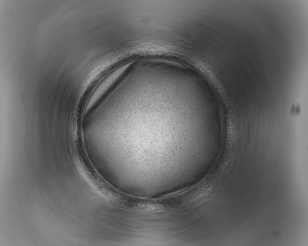 X0000111040582200907091612