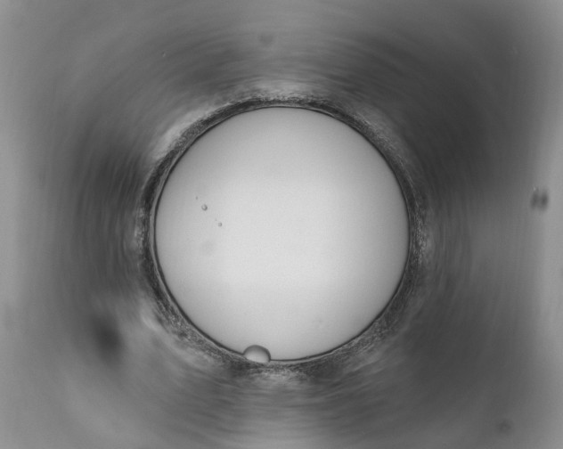 X0000111040583200907091612