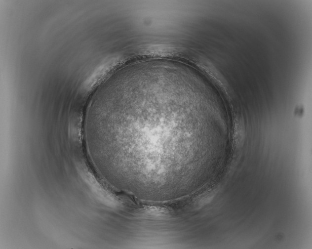 X0000111040585200907091612