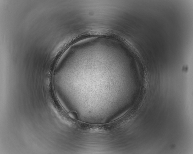 X0000111040586200907091612