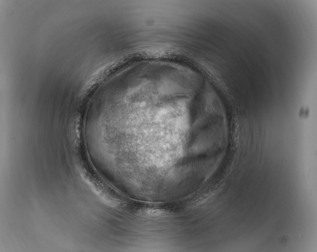 X0000111040590200907091611