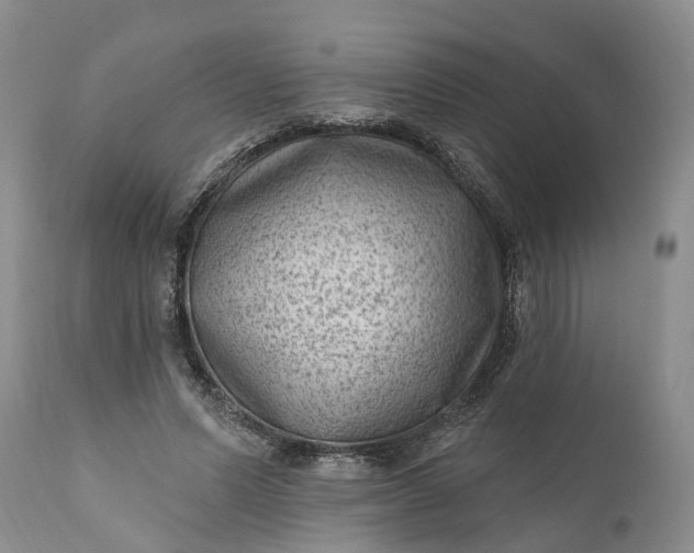 X0000111040591200907091611