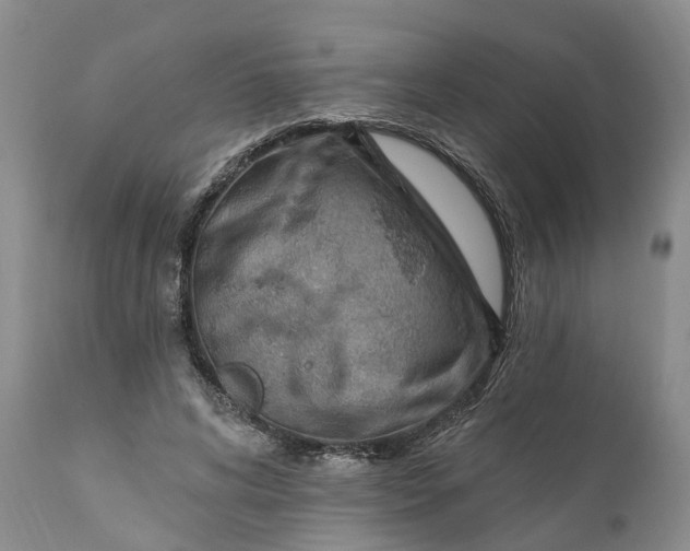 X0000111040592200907091611