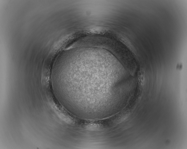 X0000111040593200907091611