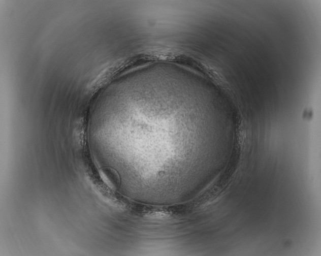 X0000111040594200907091611