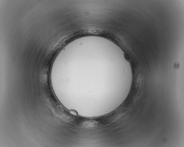 X0000111040595200907091611