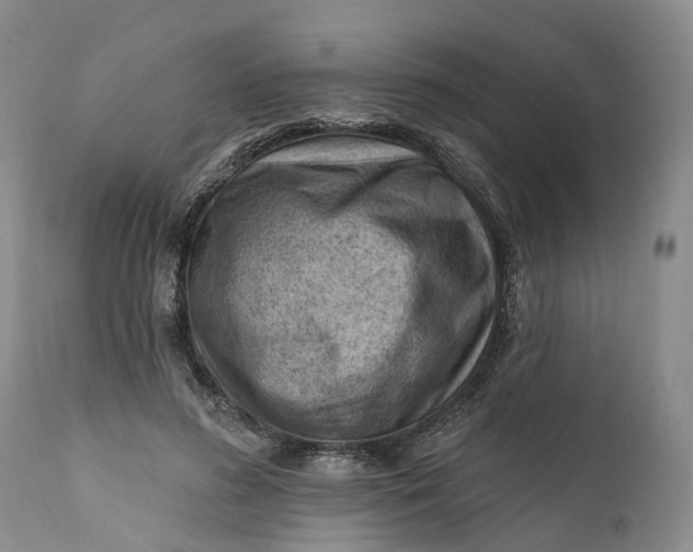 X0000111040596200907091611