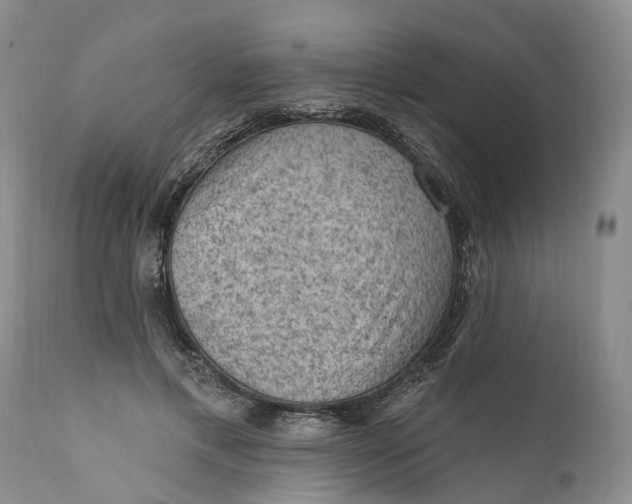 X0000111040597200907091611