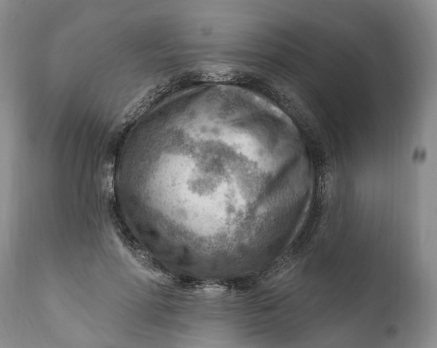 X0000111040598200907091611