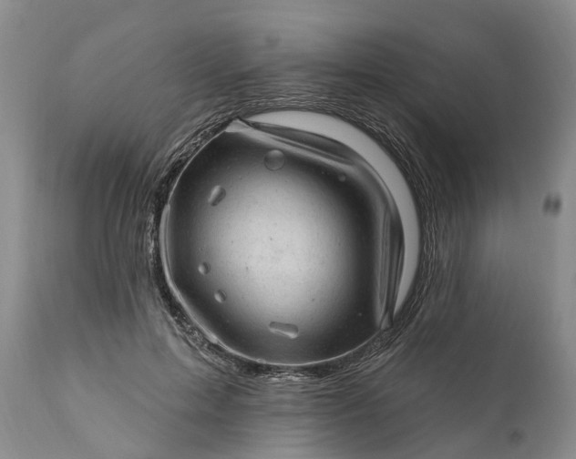 X0000111040599200907091611