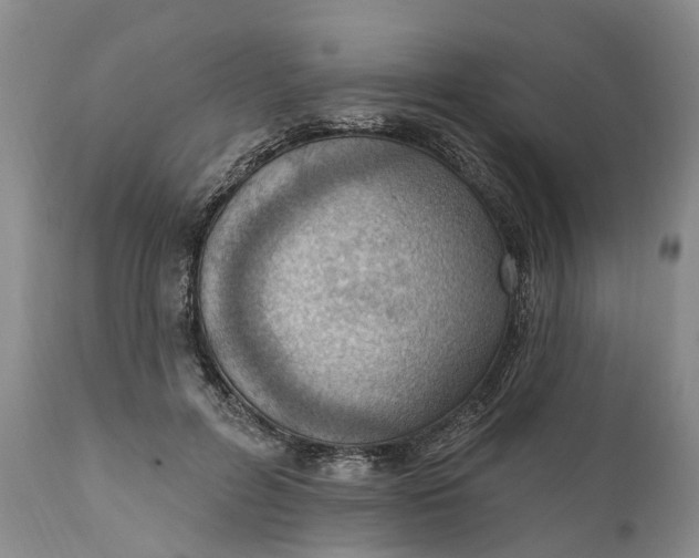 X0000111040600200907091611