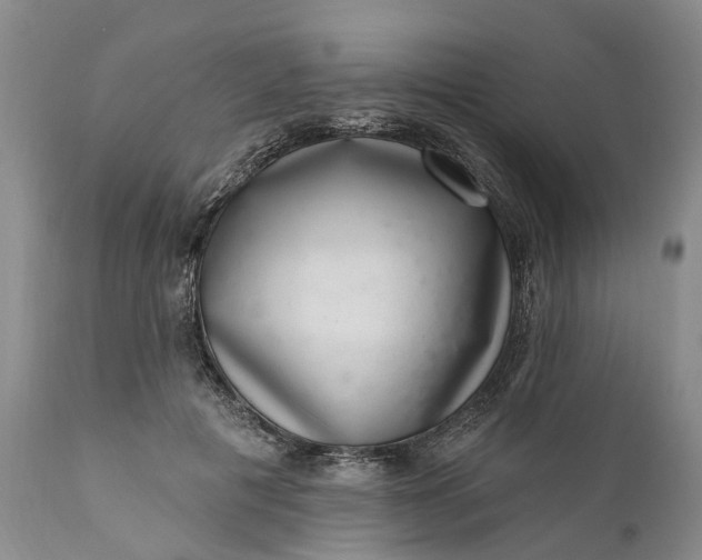 X0000111040601200907091611