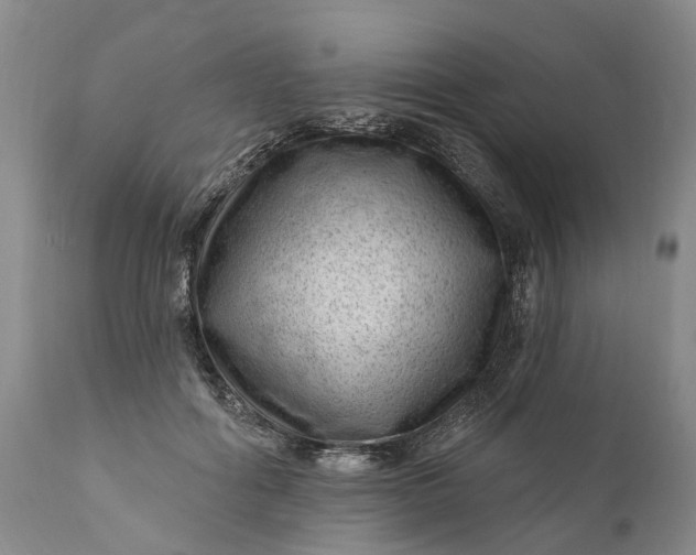 X0000111040602200907091611