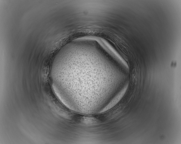 X0000111040605200907091611