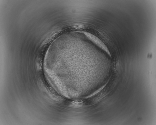 X0000111040606200907091611