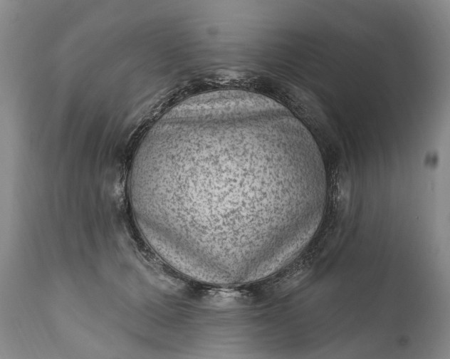 X0000111040607200907091611