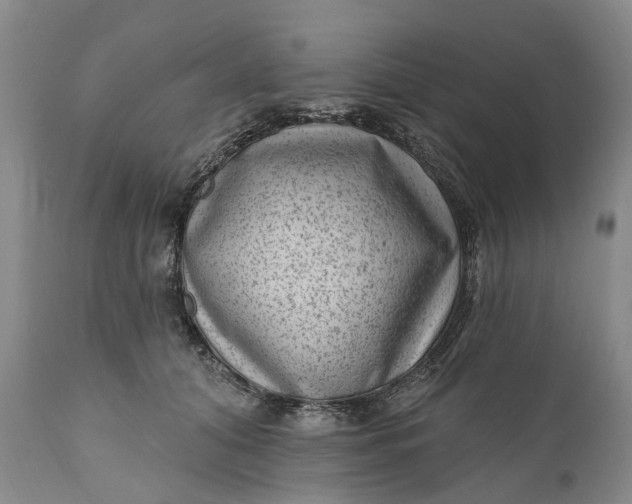 X0000111040608200907091611