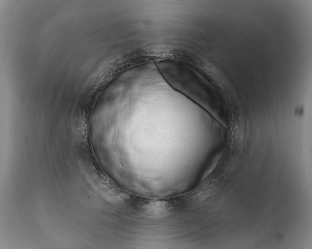 X0000111040609200907091611