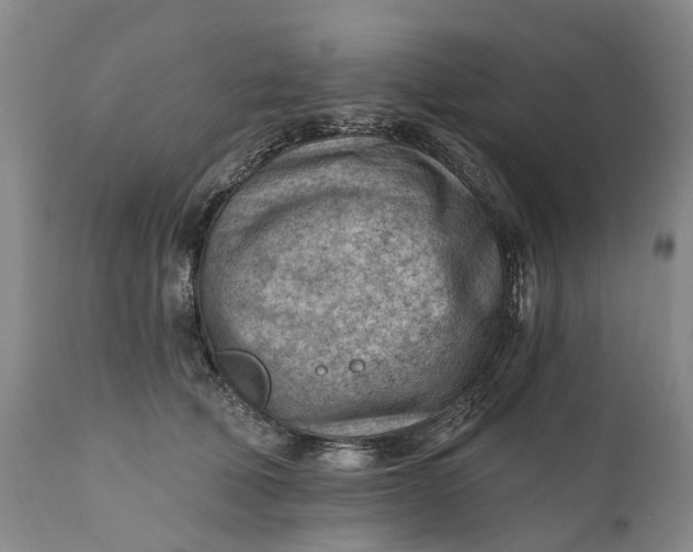 X0000111040610200907091611