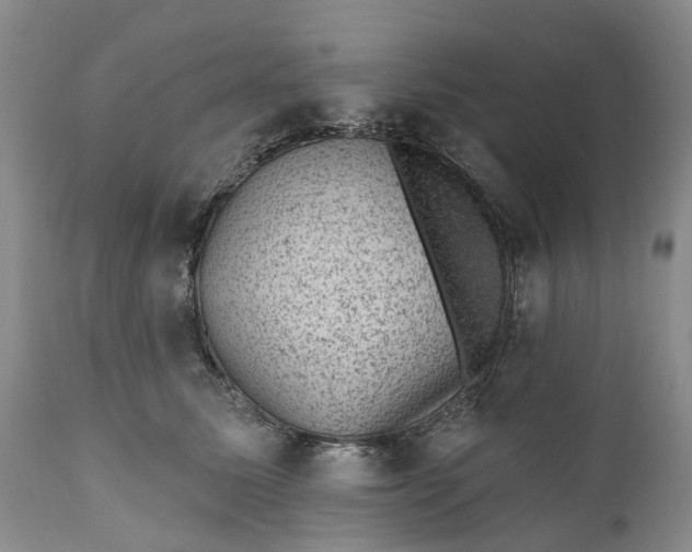 X0000111040611200907091611