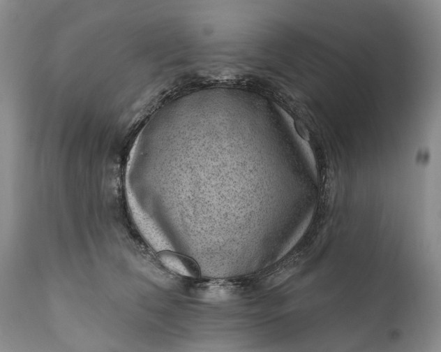 X0000111040612200907091611