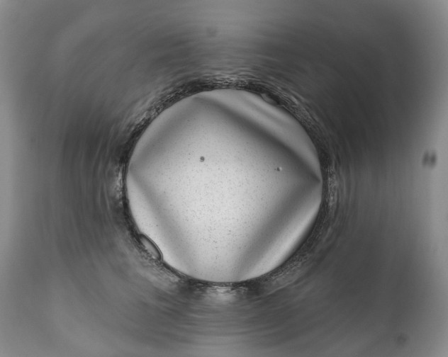 X0000111040613200907091611