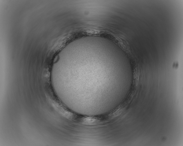 X0000111040614200907091611