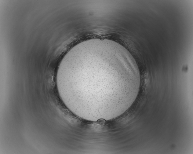 X0000111040615200907091611