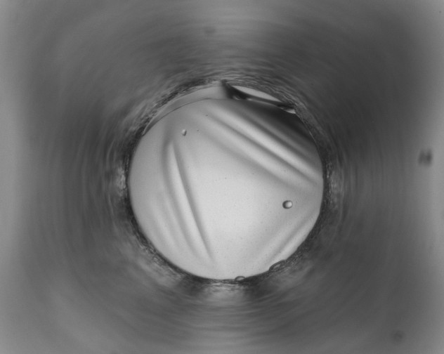 X0000111040617200907091611