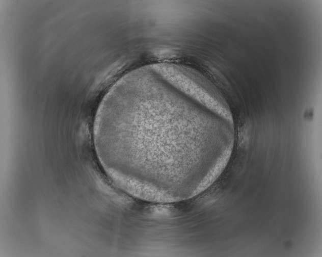 X0000111040618200907091611