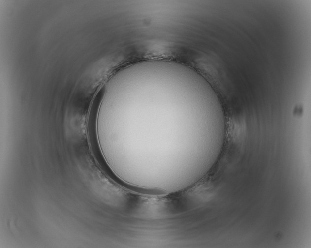 X0000111040621200907091611