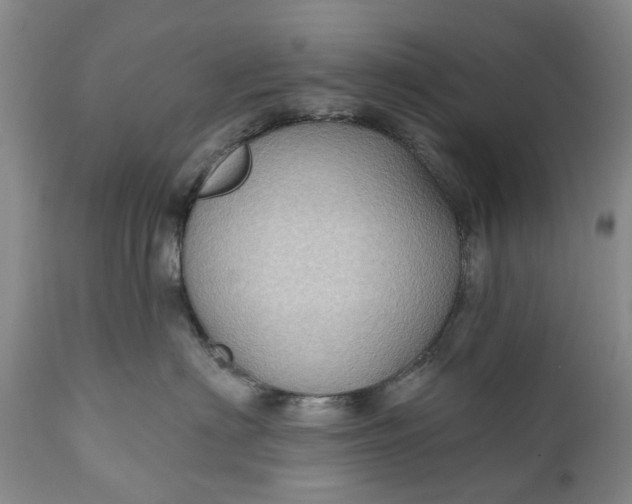 X0000111040622200907091611