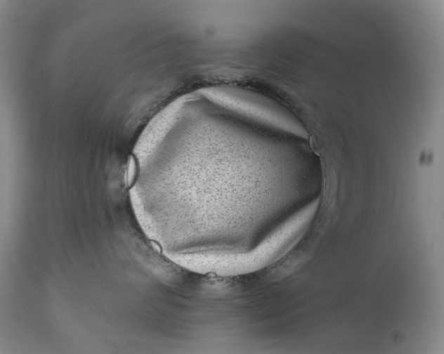 X0000111040624200907091611