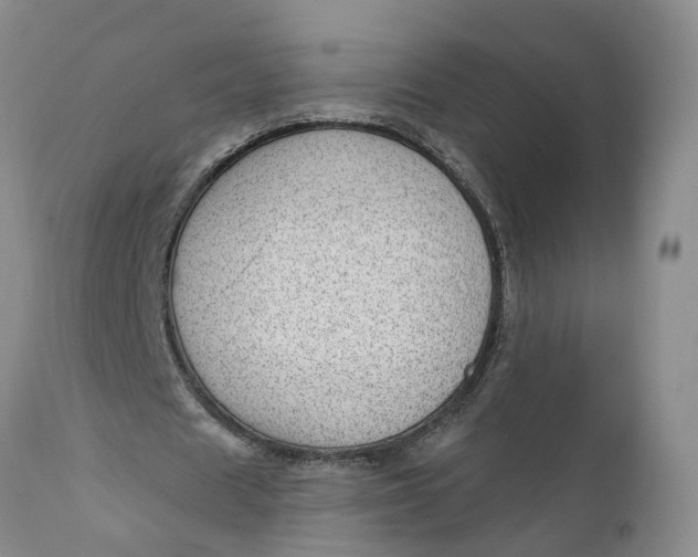 X0000111040625200907091610