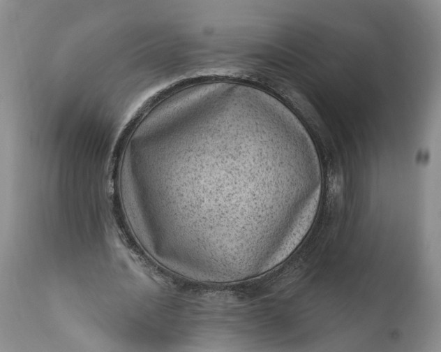 X0000111040628200907091610