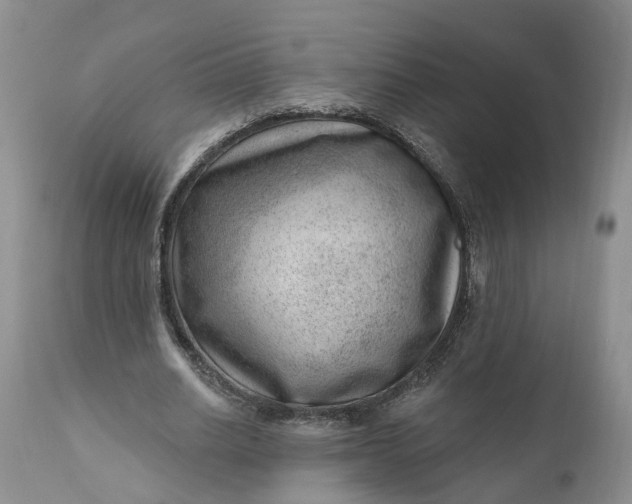 X0000111040630200907091610