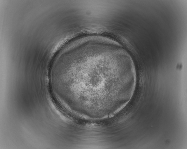 X0000111040634200907091610