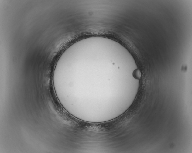 X0000111040635200907091610