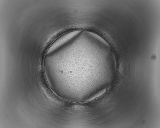 X0000111040636200907091610