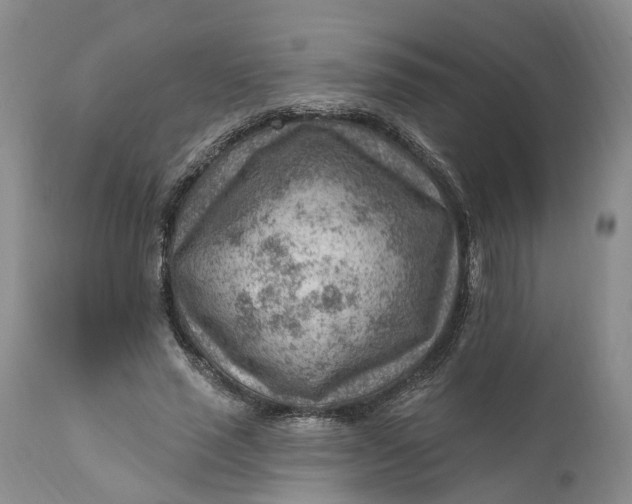 X0000111040637200907091610